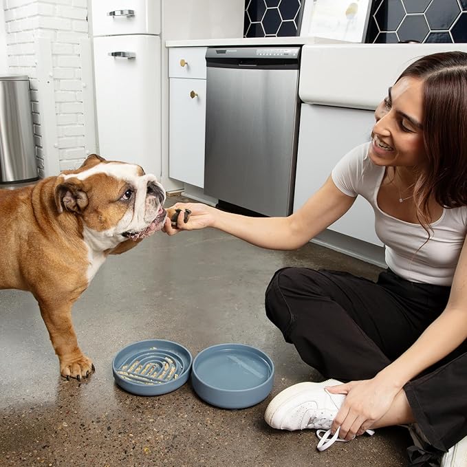 Should We Go? Dog Water Bowl - The Perfect Dish No-Spill, Less Mess Non-Tippable Water & Food Bowl, Silicone with Suction Cup Fits 5 Cups 7.5" Across x 2.25" Tall Ideal for All Pets, Medium-Terracotta