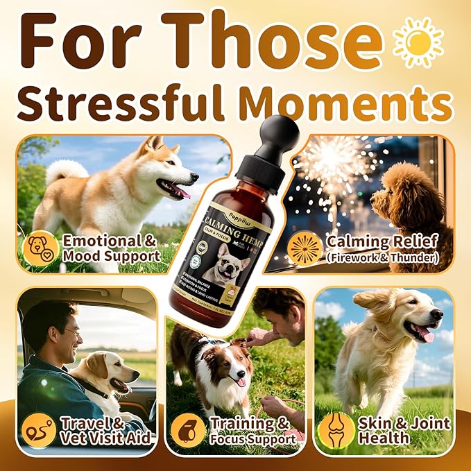 Calming Drops for Dogs, Soothe Separation, Thunder & Fireworks Stress, Support Calmness, Focus & Cognitive Health, Promote Emotional Balance, for Dogs 12 Weeks+, Chicken Flavor, 1 FL.OZ