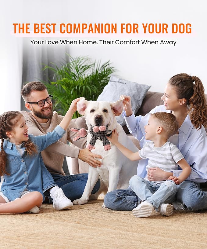 Squeaky Plush Dog Toys - Adorable Animal Designs with Soft Cotton Filling, Cute Stuffed Dog Chew Toys for Small, Medium Non-Aggressive Chewing Dogs Chewer (Grey - Donkey)