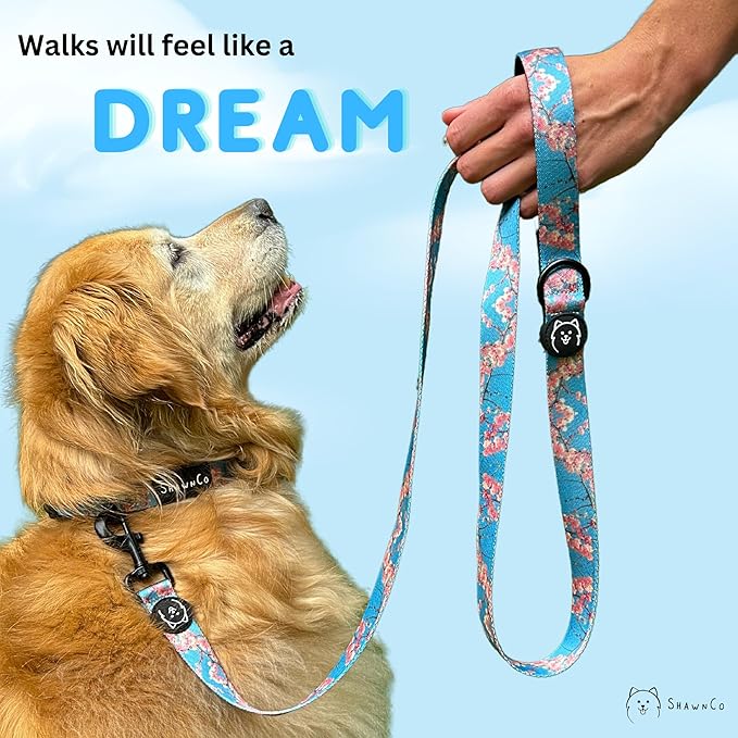 ShawnCo Dream Walk Dog Leash- Premium, Nylon Pet Leash with Soft Neoprene Handle for Small, Medium and Large Dogs (White Sharks, Small)