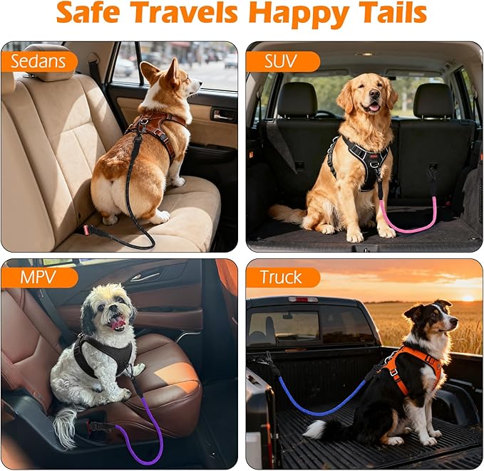 PetBonus Dog Seat Belt for Car, Durable Rope Dog Car Harness Seatbelt for Vehicle, Pet Tether Safety Restraint with Heavy Duty Buckle Hook Latch Lockable Clip for Small Medium Large Breeds (Green)