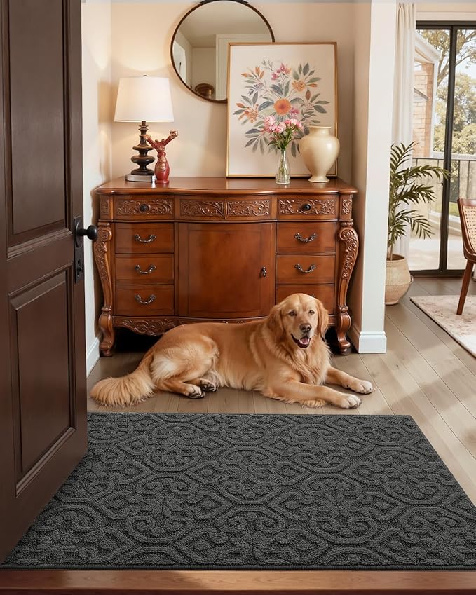 DEXI Front Door Entryway Mat Non Slip, 4x6 ft Large Washable Inside Entrance for House Floor Low Profile, Thin Entry Doormat Absorbent Dirt Trapper, Dark Grey