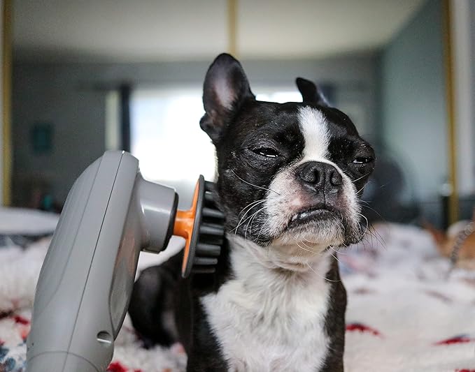 PERK Percussion Pet Massager for Dogs and Cats Designed to Help Massage Muscle Tightness, Improve Mobility and Recovery