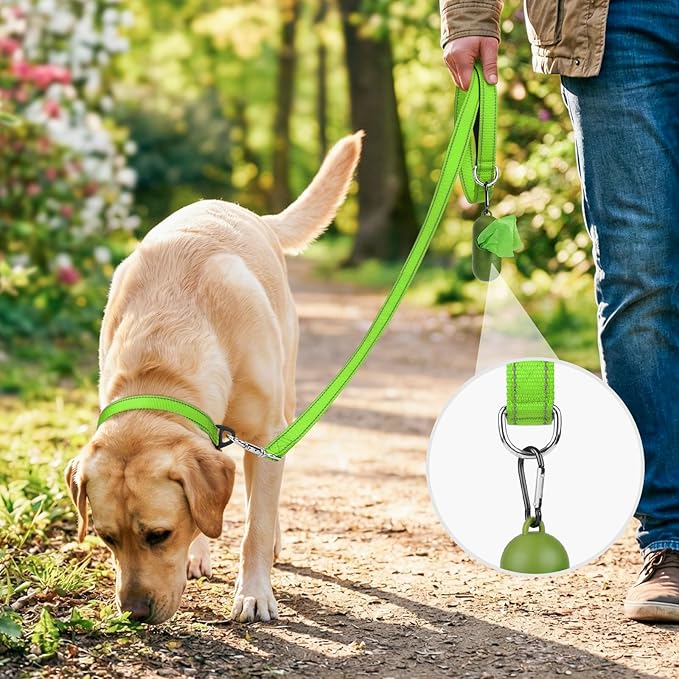 Joytale Dog Leash, 4 FT Double-Sided Reflective, Padded Handle Nylon Heavy Duty Leashes for Medium & Large Dogs Walking, Green