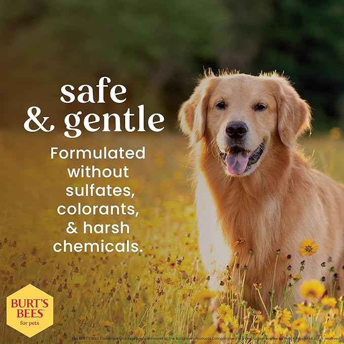 Burt’s Bees for Pets Dog Wipes for Daily Grooming with Witch Hazel - Deodorizing Wipes That Clean Paws and Face, 98% Natural Origin, Waterless Bath Formula, 100 Count