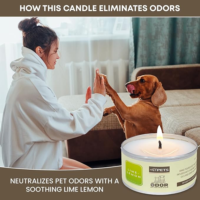 Pet Odor Eliminator Candle for Dogs and Cats Long-Lasting 72-Hour, Burn Natural Soy Wax with Refreshing Scent, Scented Candle to Remove Pet Smells (Lime-Lemon)