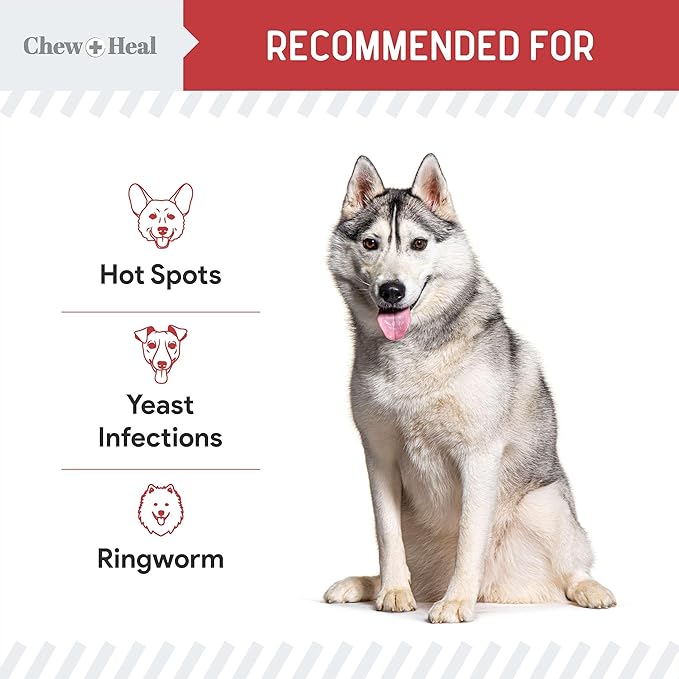 Chew + Heal Labs Dog Paw Wipes Antibacterial 50 Count - Antifungal Wipes for Dogs with 2% Chlorhexidine and 1% Ketoconazole - Good for All Breeds - Made in The USA