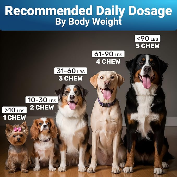 Omega 3 Fish Oil for Dogs Chews – Skin and Coat Supplement with Salmon Oil for Dogs – Allergy & Itch Relief, Dog Shedding and Dry Skin Support – Vet Approved – Made in USA – 140 Soft Chews