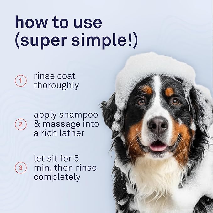 Petpost | Argan Shampoo for Dogs. Dog Shampoo with Argan Oil & Aloe. Moisturizes Dry Skin, Softens Coat, Restores Shine. 16 oz