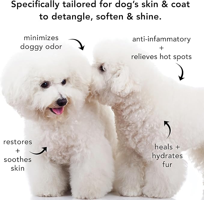 Pride and Groom The Non Shedder | Dog Grooming Shampoo for Doodles and Dogs That Do Not Shed | Tearless All Natural Body Wash with Coat-Specific Ingredients That Enhance Shine – 16oz (Pack of 2)