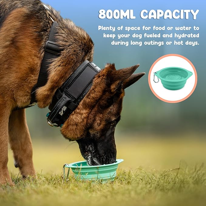 Collapsible Dog Bowl - 800ml/27 oz Portable Silicone Travel Water Bowl for Dogs with Carabiner | Foldable, Dishwasher Safe | Hiking, Camping Dog Essentials & Outdoor Pet Feeding - Green