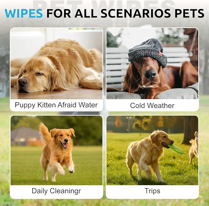 Pet Grooming Glove Wipes (6pc), Extra Thick Rinse-Free Bathing Gloves for Dogs & Cats, Unscented Hypoallergenic Deodorizing Wipes with Aloe & Glycerin, Portable Travel Pet Cleaning Supplies