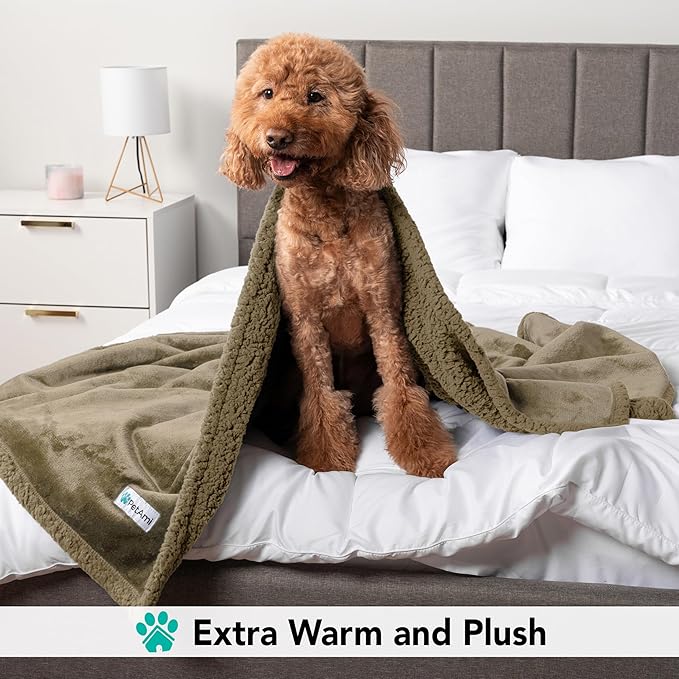 PetAmi Dog Blanket for Small Medium Dogs, Pet Bed Blanket Cat Puppy Kitten, Fleece Furniture Couch Cover Protector Sofa Car, Soft Sherpa Dog Throw Plush Reversible Washable, Mini 29x40 Solid Taupe