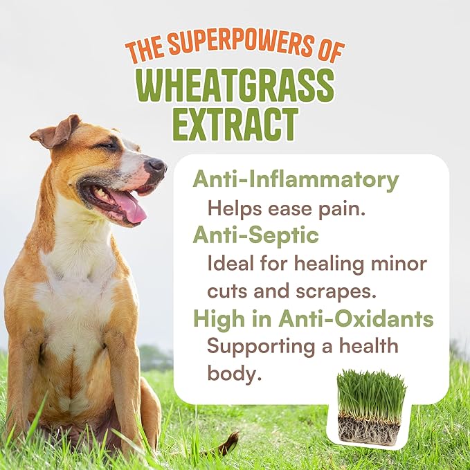 Dog Paw Pad Balm, Lick Safe 2.1 oz | Nose and Paw Balm for Dogs | Organic Dog Paw Protector with Wheatgrass | Soothing Dog Moisturizer for Dry Skin | Dog and Cat Paw Balm for Healing Cracked Skin