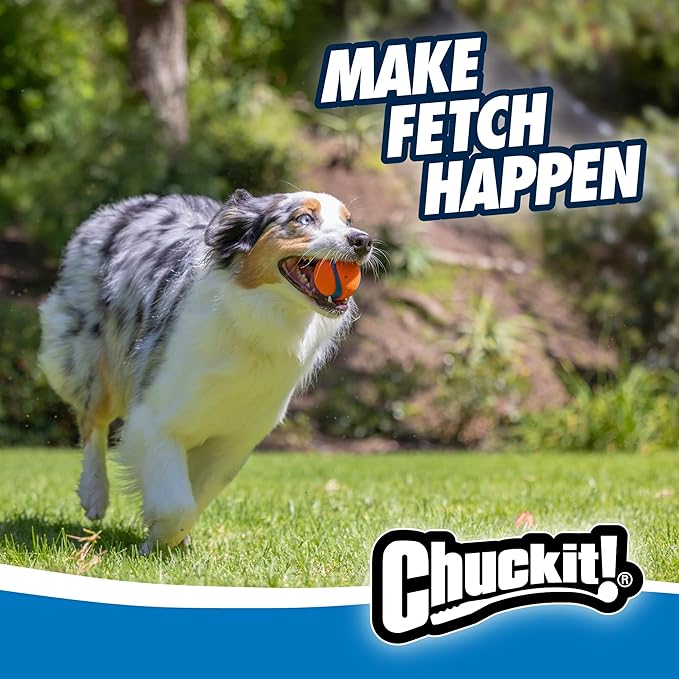 Chuckit Gen 1 Fetch Pack Dog Balls - Interactive Dog Toys, High-Bounce Fetch Ball, Floating Ultra and Rugged Balls, Durable - Size Medium, 2.5-inch Diameter, Set of 3