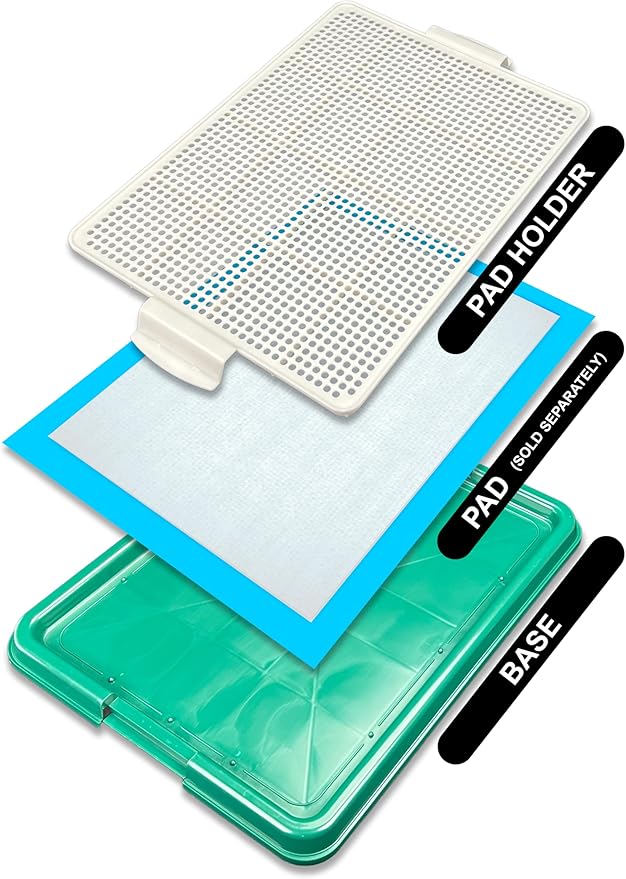 Pets-N-Me Dog Pee Pad Holder, Puppy Potty Training Tray 22.5”X16.5” for Small Dogs (Green)