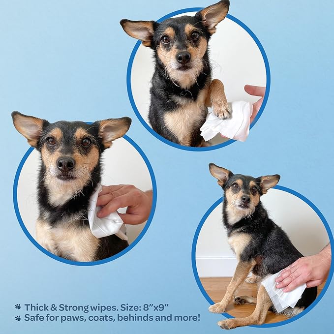 Best Pet Supplies Pet Wipes for Dogs - Dog Wipes Cleaning Deodorizing, or Coats, Ears, Paws - Soothing Oatmeal, 100 Count