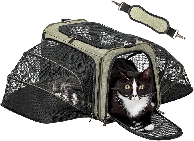Petsfit Expandable Cat Dog Carrier Airline Approved, 17" L x 11" W x 11" H Soft-Sided Portable Pet Travel Carrier for Kitten, Puppy, Removable Soft Plush Mat and Pockets, Auto-Locking Zippers