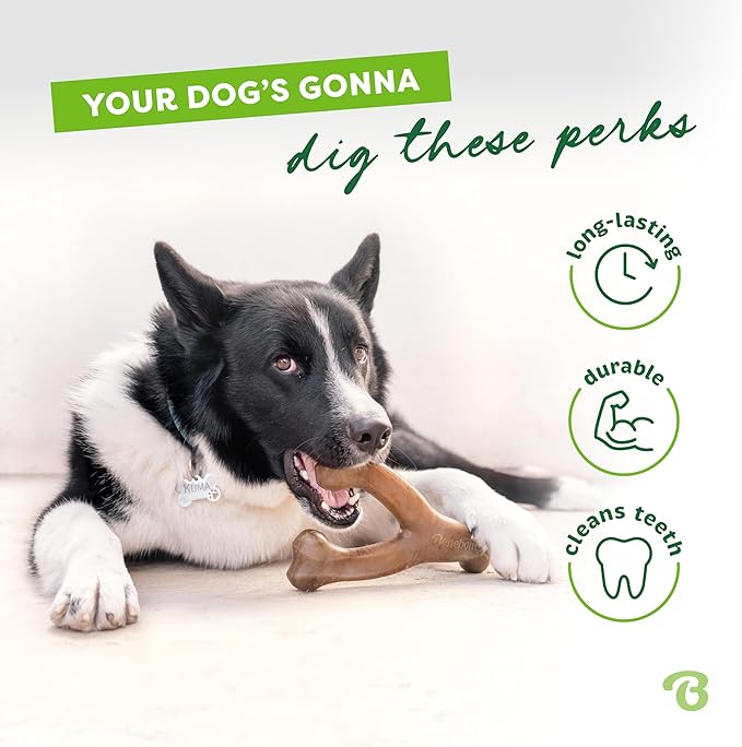 Benebone Wishbone Dog Chew Toy for Aggressive Chewers | Real Bacon Flavor | Made in USA | Giant Size | Pack of 2