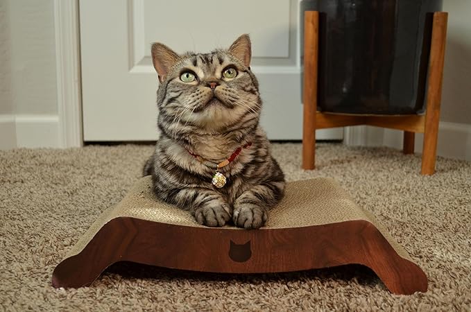 Necoichi Cardboard Cat Scratcher Bed for Indoor Cats - Cat Scratching Board, Horizontal Cat Scratch Pad Lounger with Reversible Usability and Extra Comfort for Lounge, Curved (17" Medium, Dark Cherry)