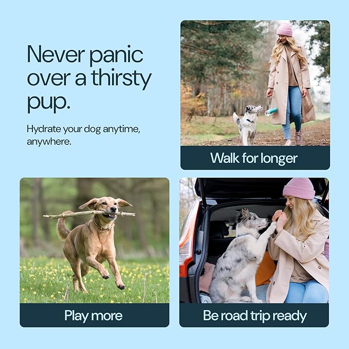 MalsiPree Insulated Dog Water Bottle - 24 Oz, Pink - Leak-Proof Stainless Steel Portable Travel Dispenser & Bowl for Trail Hiking, Park Visit, Camping & Beach Days