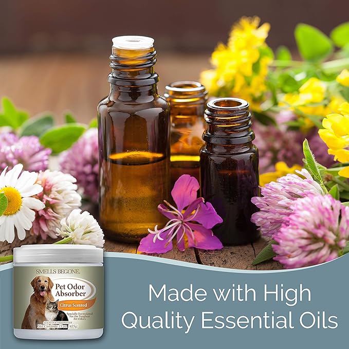 SMELLS BEGONE Air Freshener Pet Odor Absorber Gel - 15 oz, Pack of 2 - Absorbs and Eliminates Odor in Pet Areas, Bathrooms, Cars, & Boats - Made with Essential Oils - Citrus Scent