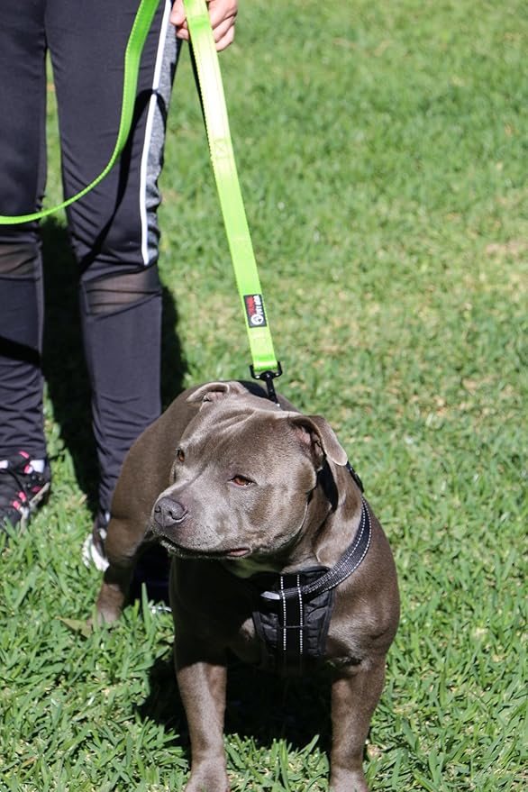 Primal Pet Gear Dog Leash 6ft Long,Traffic Padded Two Handle,Heavy Duty,Reflective Double Handles Lead for Control Safety Training,Leashes for Large Dogs or Medium Dogs,Dual Handles Leads(Green)