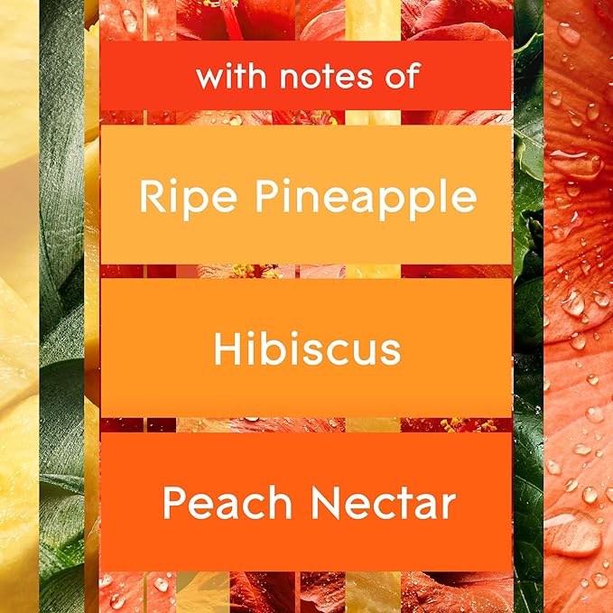 Glade Automatic Spray Refill and Holder Kit, Air Freshener for Home and Bathroom, Hawaiian Breeze, 6.2 Oz, 2 Count