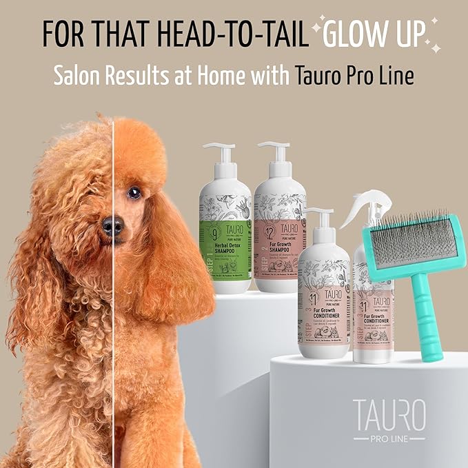 Tauro Pro Line Slicker Dog Brush for Shedding - Detangler for Long & Wavy Hair - Dematting Pet Slicker Brush for Dogs & Cat, Doodle Grooming, Non-Slip Grip, Soft Pin (Size S - Mint)