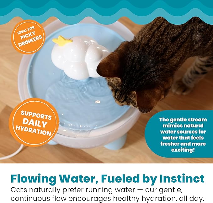 Catstages Purrfect Rain Cat Water Fountain – 2L Pet Drinking Fountain with 5-Stage Filter, Easy-to-Clean, USB Powered, Quiet Water Dispenser with Replaceable Filter
