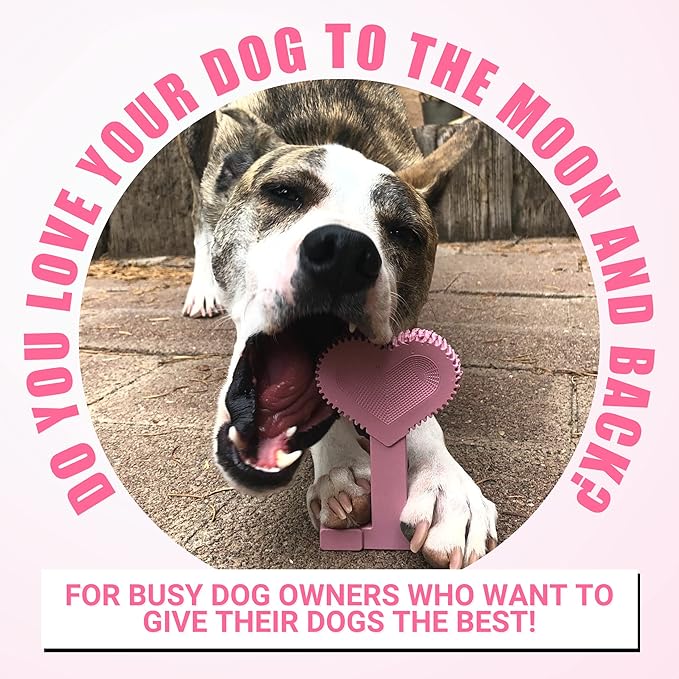 Bullibone Nylon Dog Chew Toy Nylon Bone - Improves Dental Hygiene, Easy to Grip Bottom, and Permeated with Flavor (Peppermint, Large - Single)