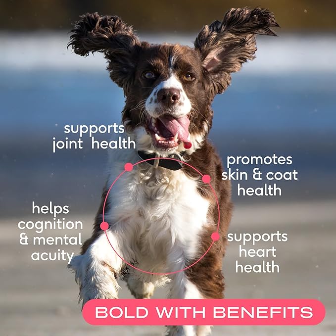 Native Pet Joint & Comfort Bundle: Sockeye Salmon Oil (8 Oz.) & Relief Chews (30 Air Dried Chews) - Anti-Inflammatory Promotes Healthy Skin, Shiny Coat, & Strong Joints