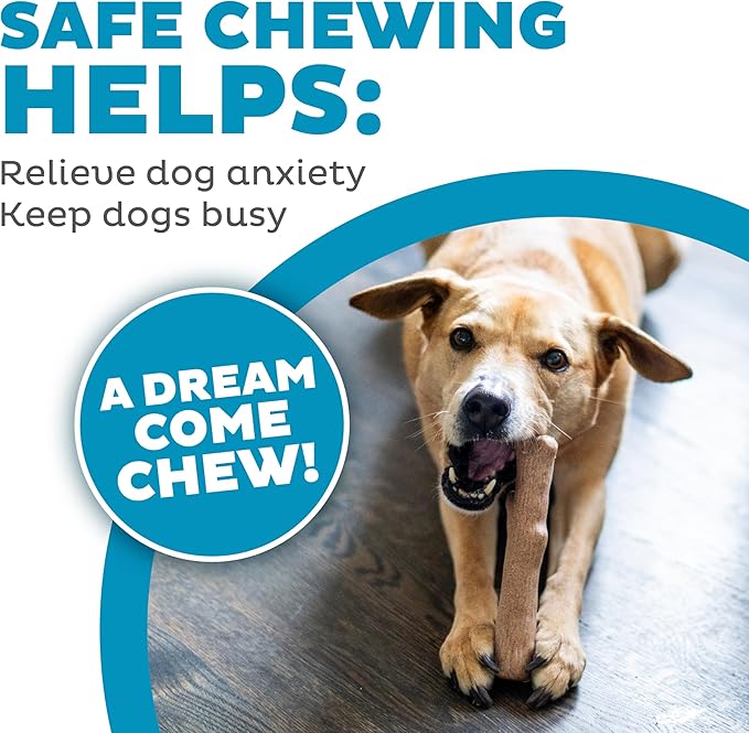 Outward Hound Dogwood Wood Durable Dog Chew Toys, Real Wood & Calming Hemp, 2-Pack, Medium