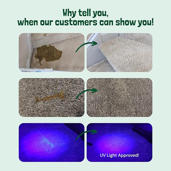 Sunny & Honey Pet Stain & Odor Miracle - 1 Gallon (128 Fl Oz), Spring Mint Scent - Carpet Shampoo, Cat Pee Enzyme Cleaner & Carpet Spot Remover for Upholstery & Mattress