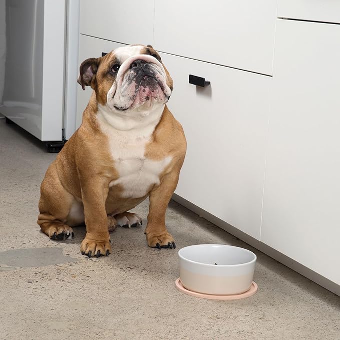 Waggo Habit Silicone Dog Placemat – Set of 2 Modern Heavyweight Silicone Dog Food Mats, Dishwasher Safe, Non-Slip, Solid Color – White (Small, 6")