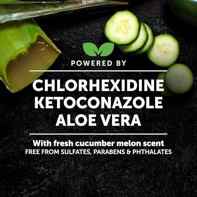 Pet Honesty Chlorhexidine Cat & Dog Seasonal Itch Relief Shampoo, for Allergies, Itching, Skin and Coat Supplement, Helps Shedding, Hot Spots, Deodorizing Dog Shampoo & Grooming Supplies,16oz