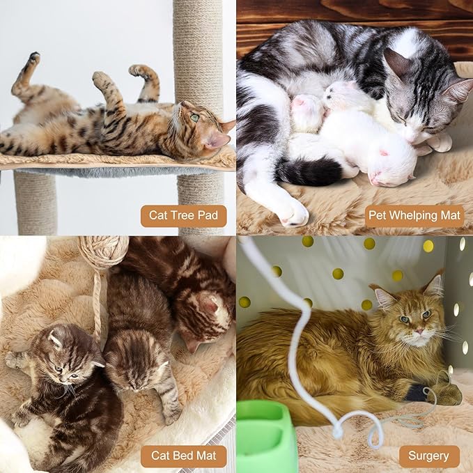 3 Pack Khaki Self Warming Cat Bed Indoor 16''x24'' Self Heating Cat Mat Ultra Soft Thermal Kitten Bed Heated Pet Dog Pad Washable Removable for Outdoor Use Non Slip Reflect Body Heat