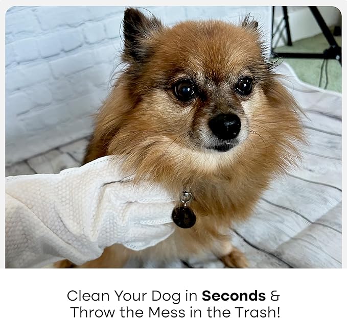 Uproot QuickClean Gloves Pro: 1 Month Supply - Extra-Thick Pet Glove Wipes for Dogs & Cats - Easy Wipe Paws, Eyes, Ears, Butt, & Body - Lick-Safe - Cleaning, Deodorizing & Grooming (6 Pack)