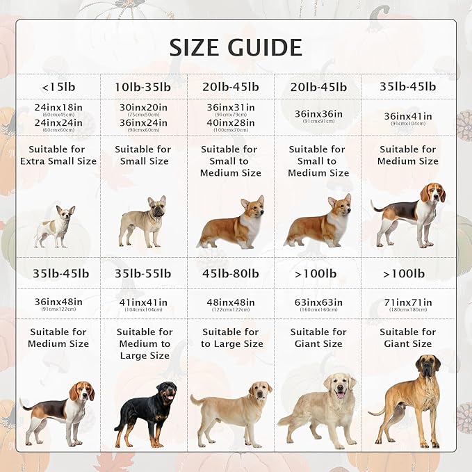 IEUUMLER Washable Pee Pads for Dogs, 2 Pack Pumpkin Pattern Reusable Waterproof Puppy Potty Pads, Non-Slip Absorbent Pet Training Pads for Playpen Crate Bed EU016 Grey Pumpkin, 30x20