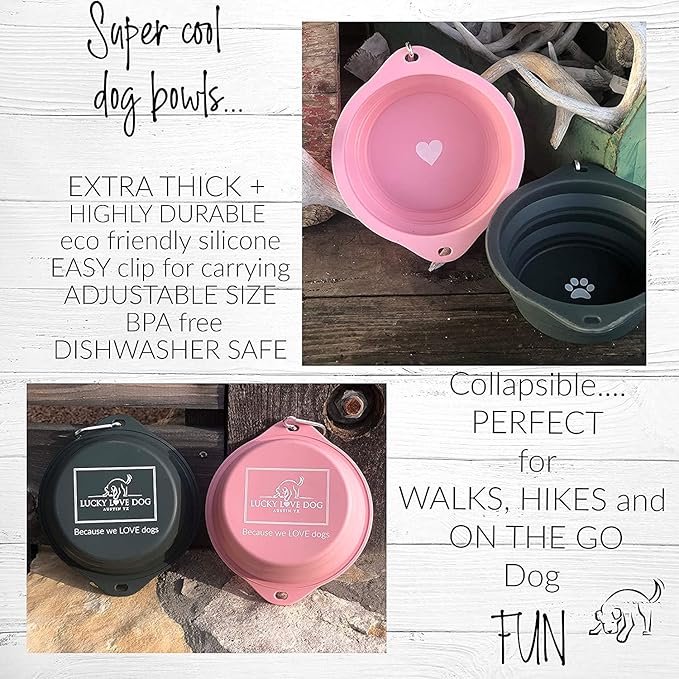Lucky Love Dog Travel Bowl, Collapsible Compact Water Dog Dish (Grass)