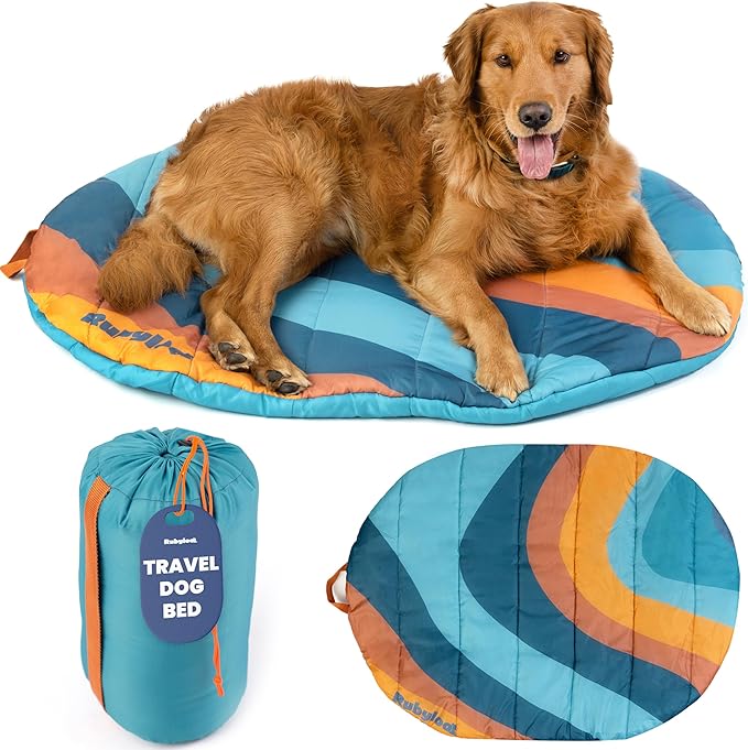 Travel Dog Bed (42" x 30")- Foldable & Packable for Travel, Road Trip, Camping– Lightweight, Water Resistant & Cozy with Soft Padding– Compact, Portable & Machine Washable– Large & Small Breeds: Teal