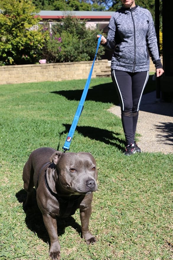 Primal Pet Gear Dog Leash 6ft Long,Traffic Padded Two Handle,Heavy Duty,Reflective Double Handles Lead for Control Safety Training,Leashes for Large Dogs or Medium Dogs,Dual Handles Leads(Blue)