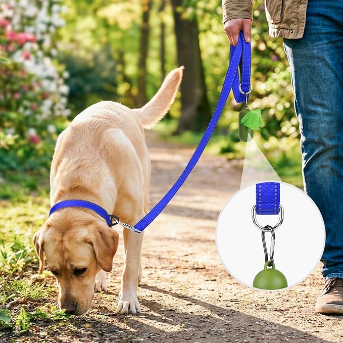 Joytale Dog Leash, 4 FT Double-Sided Reflective, Padded Handle Nylon Heavy Duty Leashes for Medium & Large Dogs Walking, Navy Blue