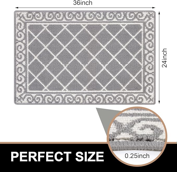 HEBE Indoor Door Mat 24''x36'' Non Slip Front Door Welcome Mats Washable Shoe Mats Dirt Trapper for Entryway Low Profile Kitchen Carpet for Entrance Hallways Entrance Mat for Dogs