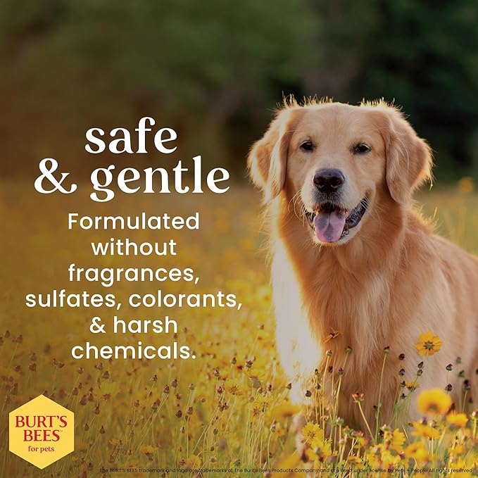 Burt's Bees for Pets Multipurpose Dog Wipes with with Honey, 98% Natural Origin Formulas, Hypoallergenic Dogs Wipe, Canine Cleaning Sheets for Paws and Butt, 2pk, 50ct
