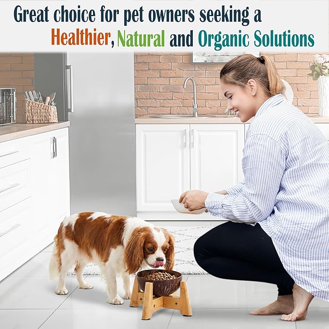 Dog Bowl for Cats and Small Dogs - All-Natural, Polished Coconut Shell Bowl with Wood Stand - Elevated/Raised 5-inch Total Height - Food-Contact Suitable