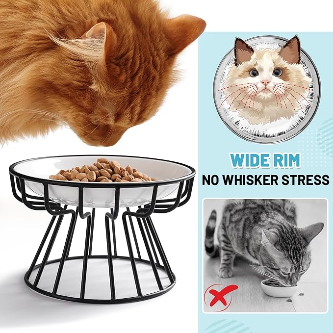 Cat Bowls, Elevated Cat Bowl, Raised Ceramic Dish with Metal Stand, Pet Water or Food Feeding Station for Indoor Cats, Kitten, Puppies and Small Dogs, Dishwasher Safe