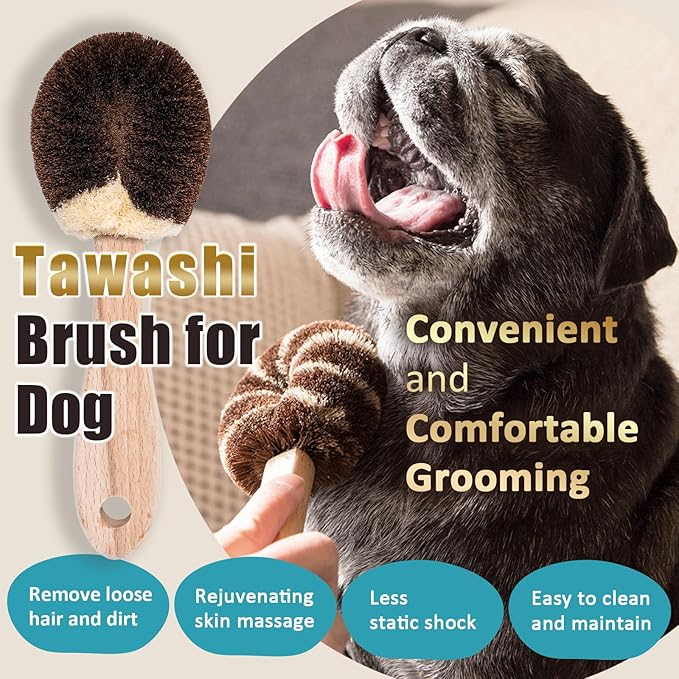 Dog Grooming Massage Tawashi Brush with Wood Handle Less Static Natural palm fiber Made in Japan (Small dog B)