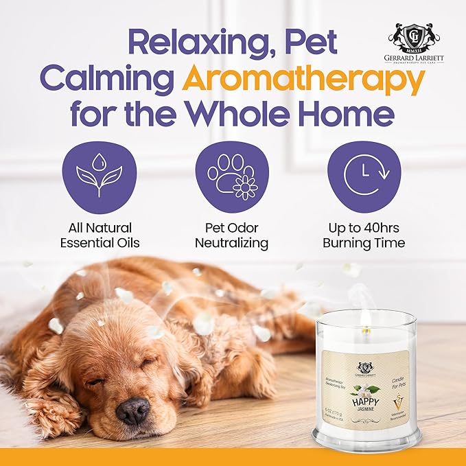 Pet Odor Eliminator Candle Happy Jasmine Scented Candle, Calming Candles Aromatherapy for Home Decor, Soy Wax Pet Candles Odor Eliminator for Animal Lover, Aromatherapy by Gerrard Larriett
