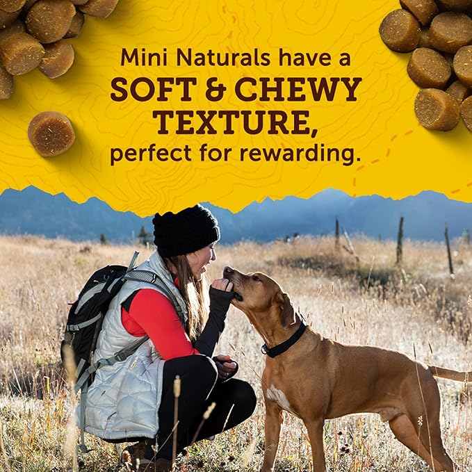 Zuke’s Mini Naturals Soft And Chewy Dog Treats For Training Pouch, Natural Treat Bites With Beef Recipe - 6 oz. Bag